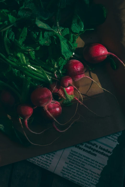 radishes are still ripe, and green in the sun