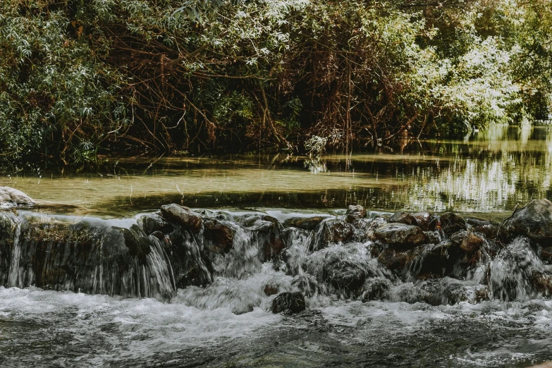 this is the stream that runs through the park