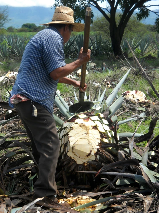 a man is  up a piece of wood with a long axe