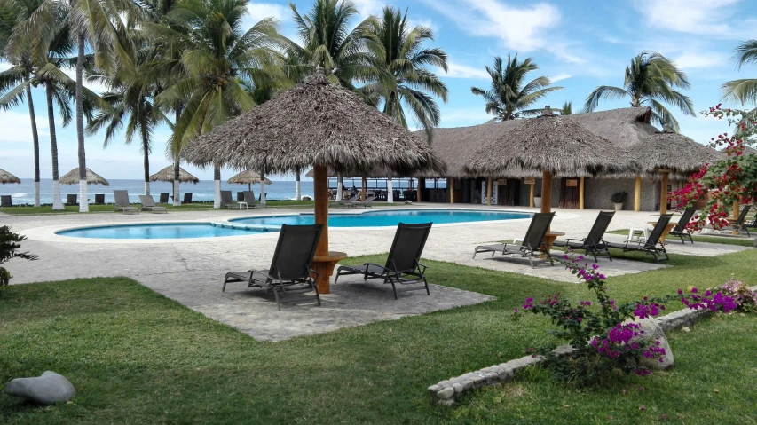 lawn chairs around the pool near some palm trees