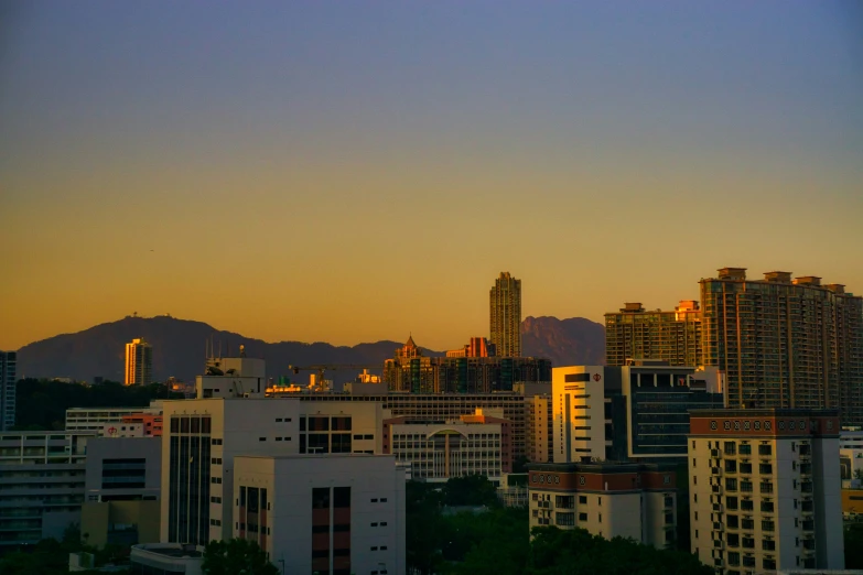 the view of a very big city with tall buildings