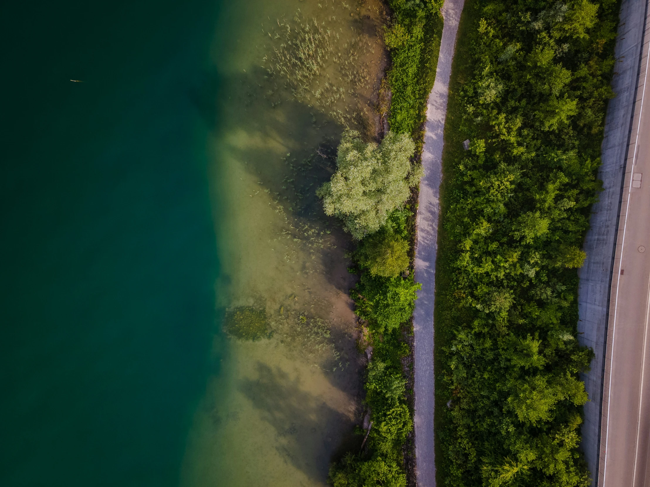 aerial view of the roadway of a road and trees