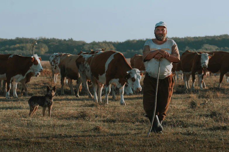 a man standing in front of several cows and a dog