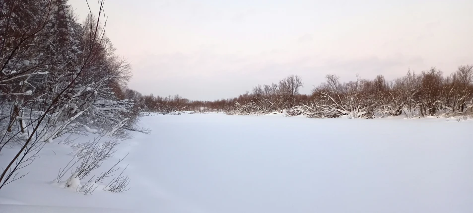 trees and snow covered field with only some snow on the ground