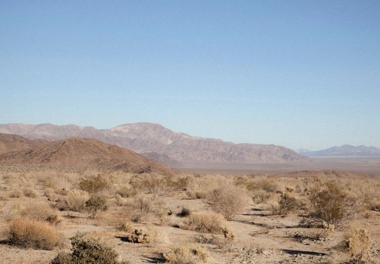 some very pretty deserts in the middle of the desert