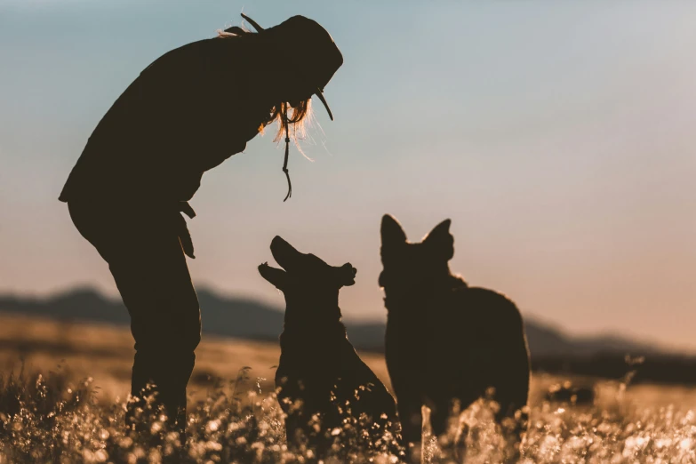 the man has his hands behind two dogs