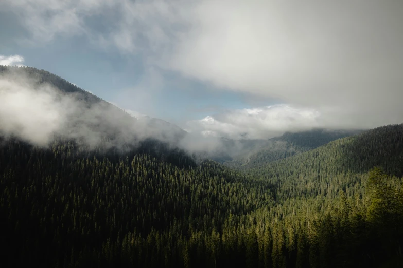 clouds roll over the mountains above trees