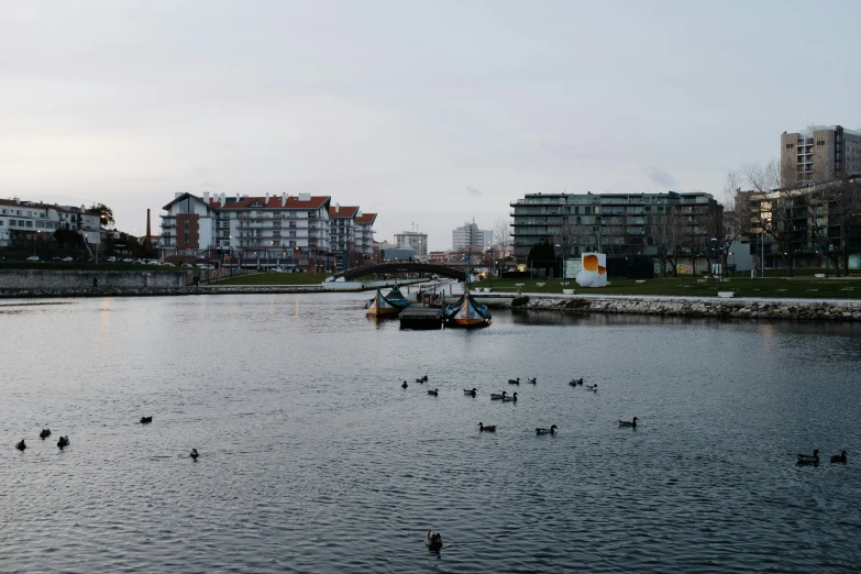 the boats are on the water and birds in the water