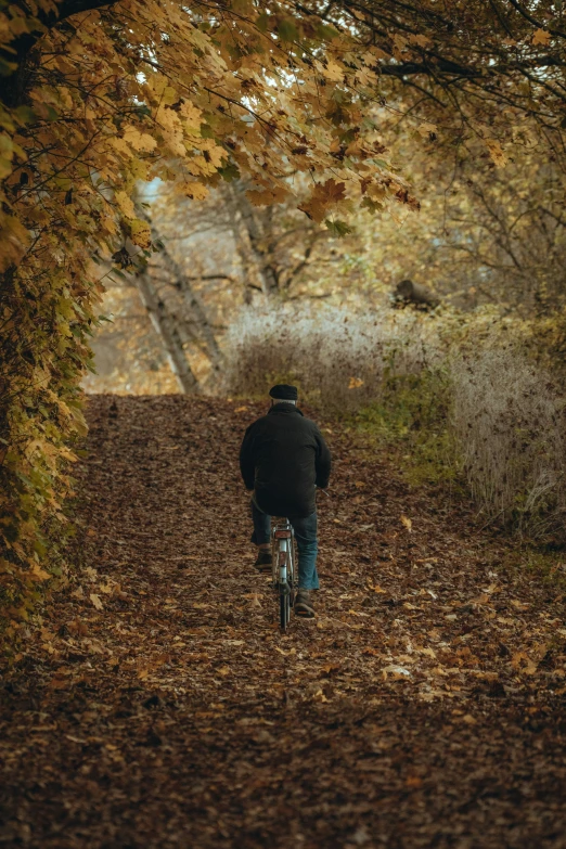 a man is riding a bicycle down a path in the woods