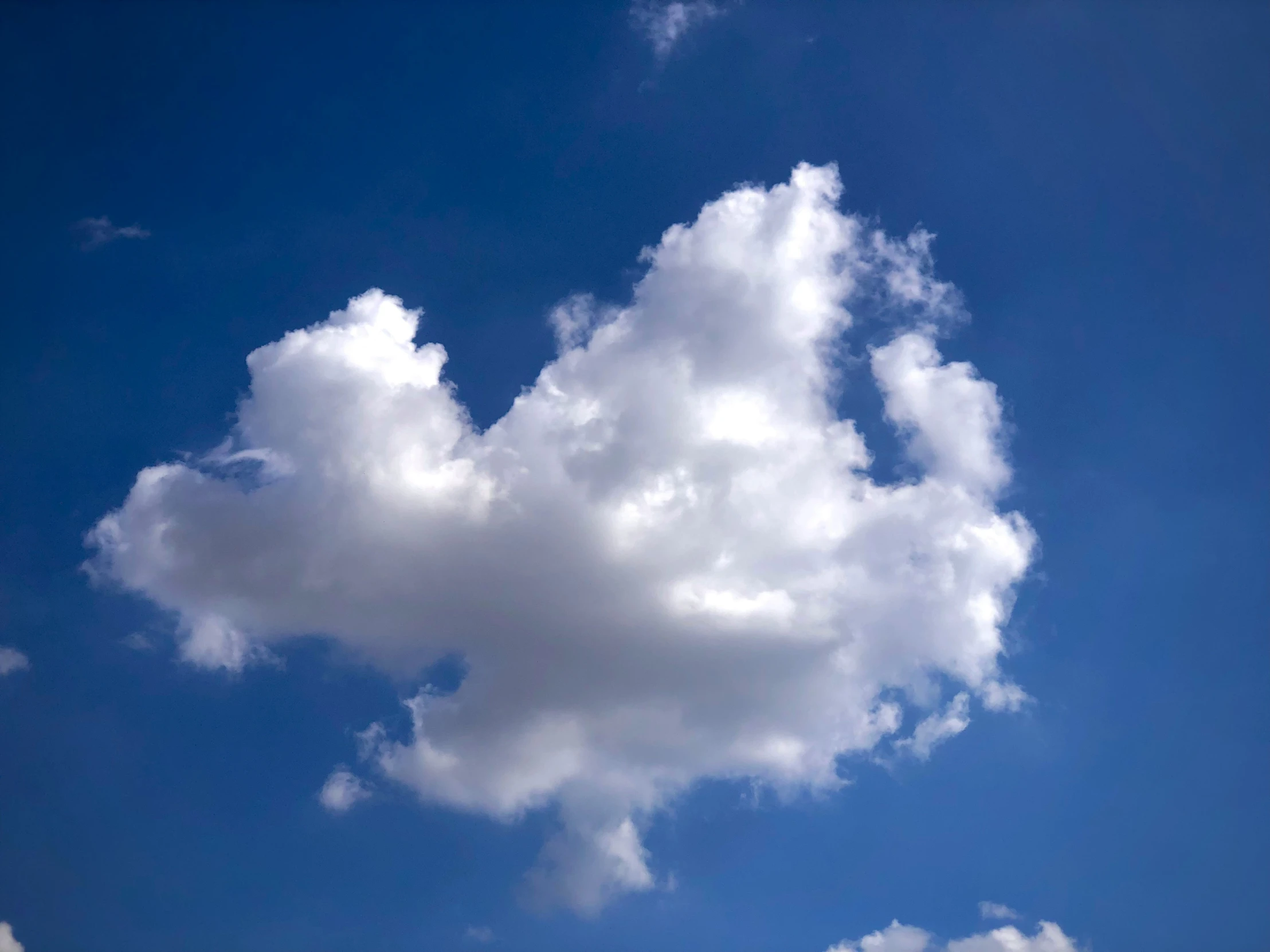 a cloud that is shaped like an eagle