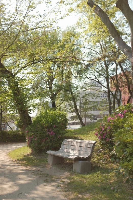 a park bench with flowers and trees along a path