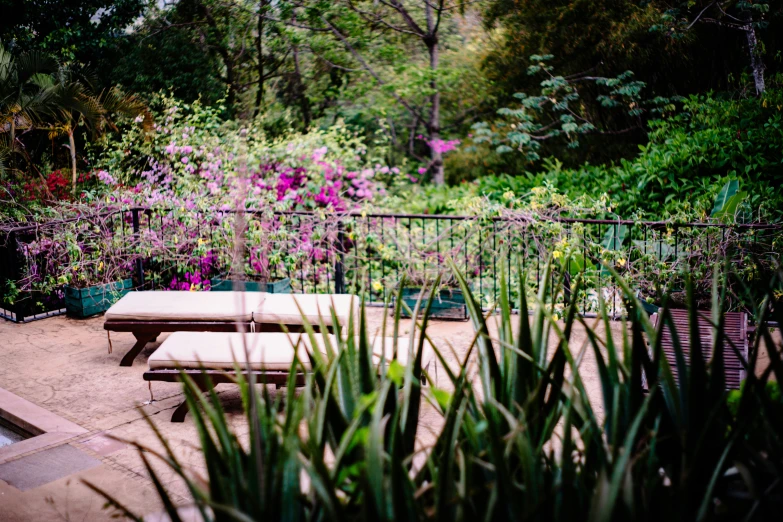 a park bench sitting under lots of flowers