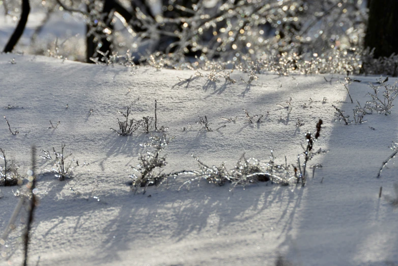 a patch of snow is on top of the grass