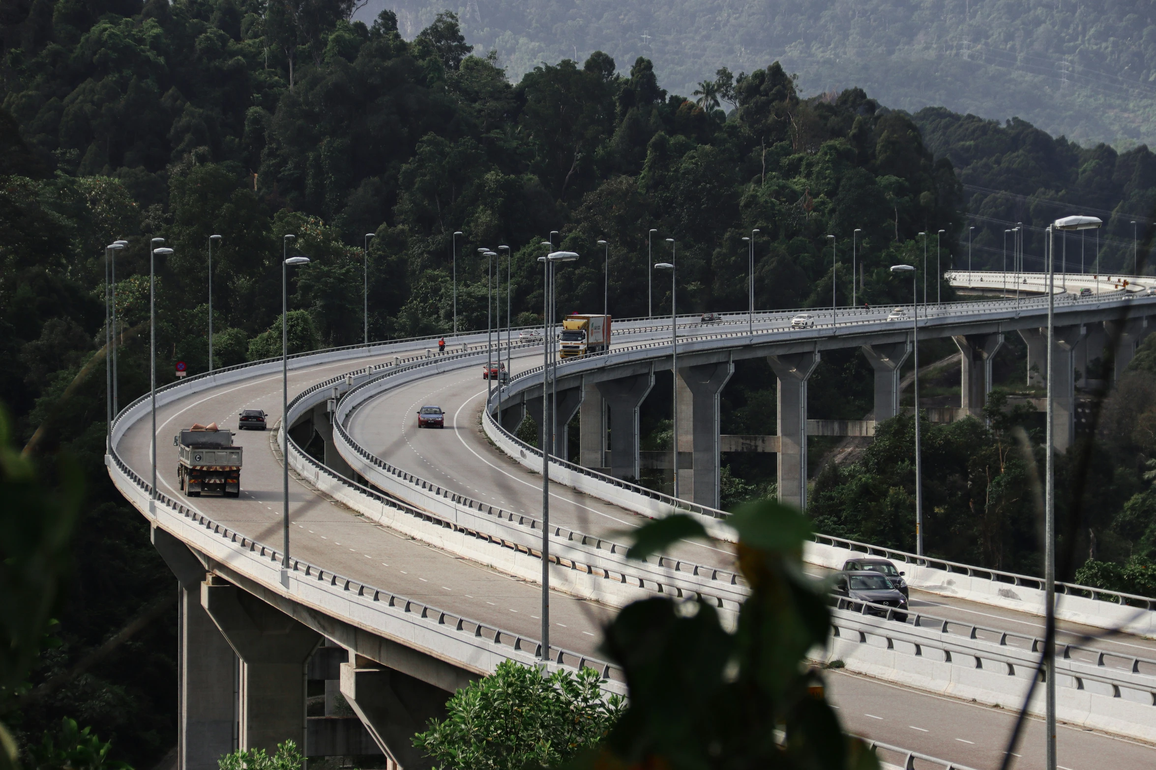 a busy freeway filled with traffic next to tall trees