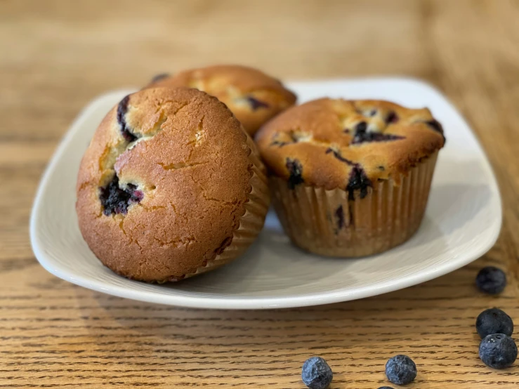 three blueberry muffins sit on a white plate