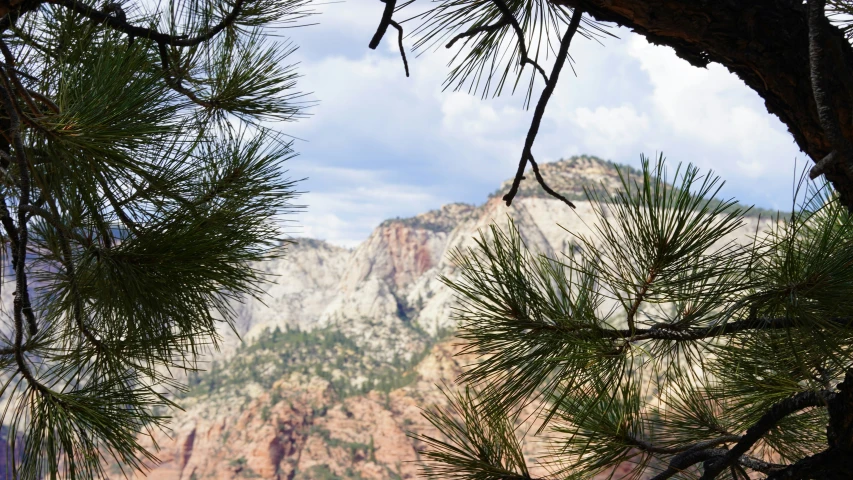 a view through the nches of trees at mountains