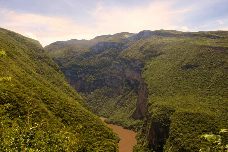 several green mountains with trees around them