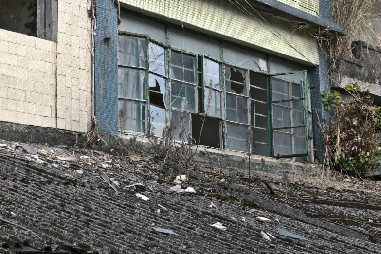 some birds are sitting outside of a building