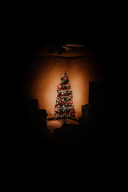 a christmas tree with the lights on and it has an ornament