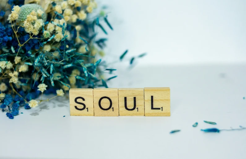 a scrawny word that says soul next to dried flowers
