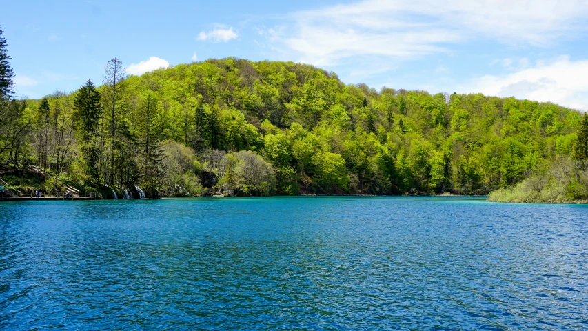 a large body of blue water sitting next to a forest