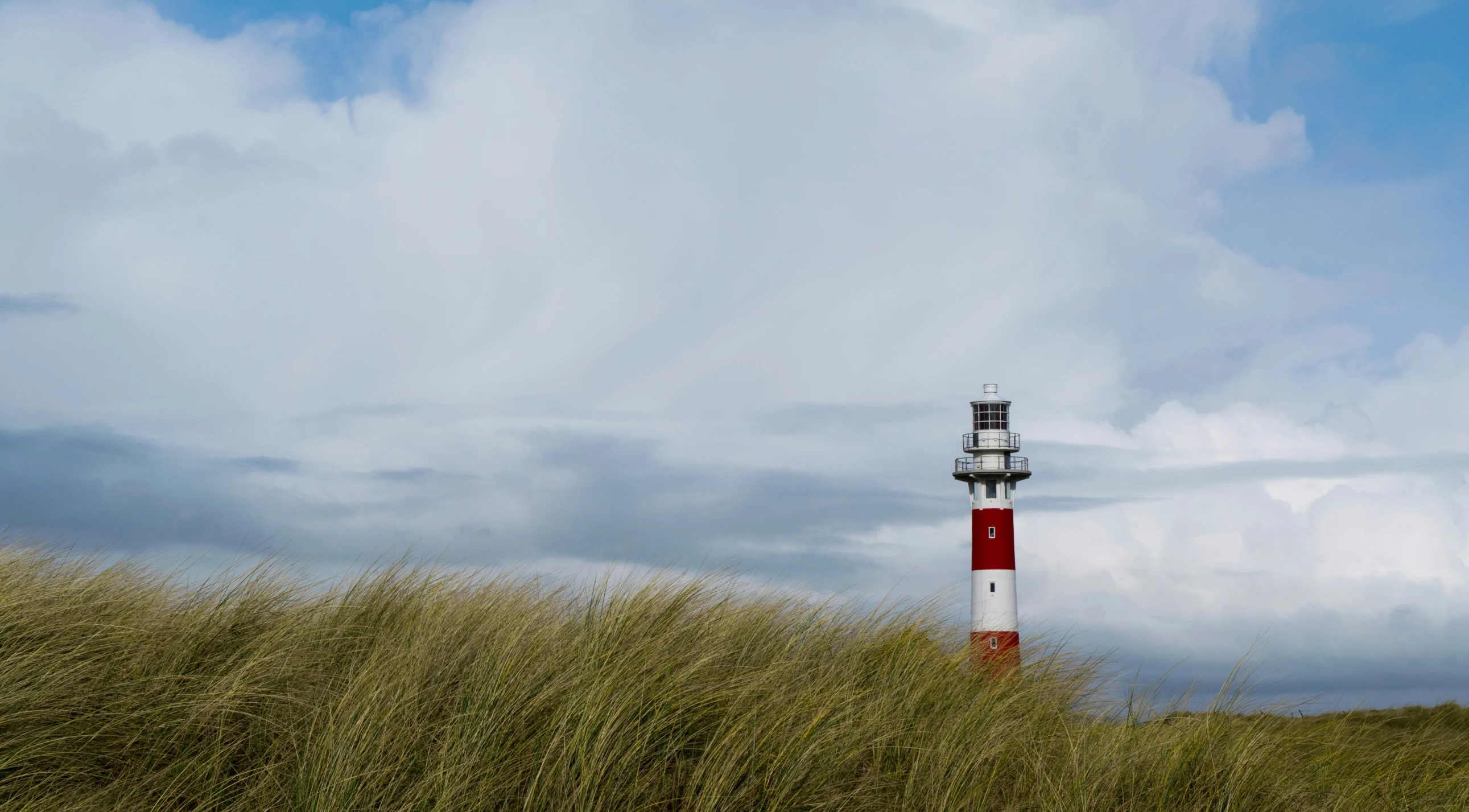 a tall tower is surrounded by grass