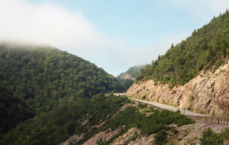 a mountain side has trees and mountain road