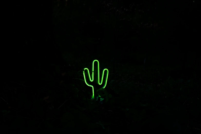 green light in the dark showing a cactus like shape