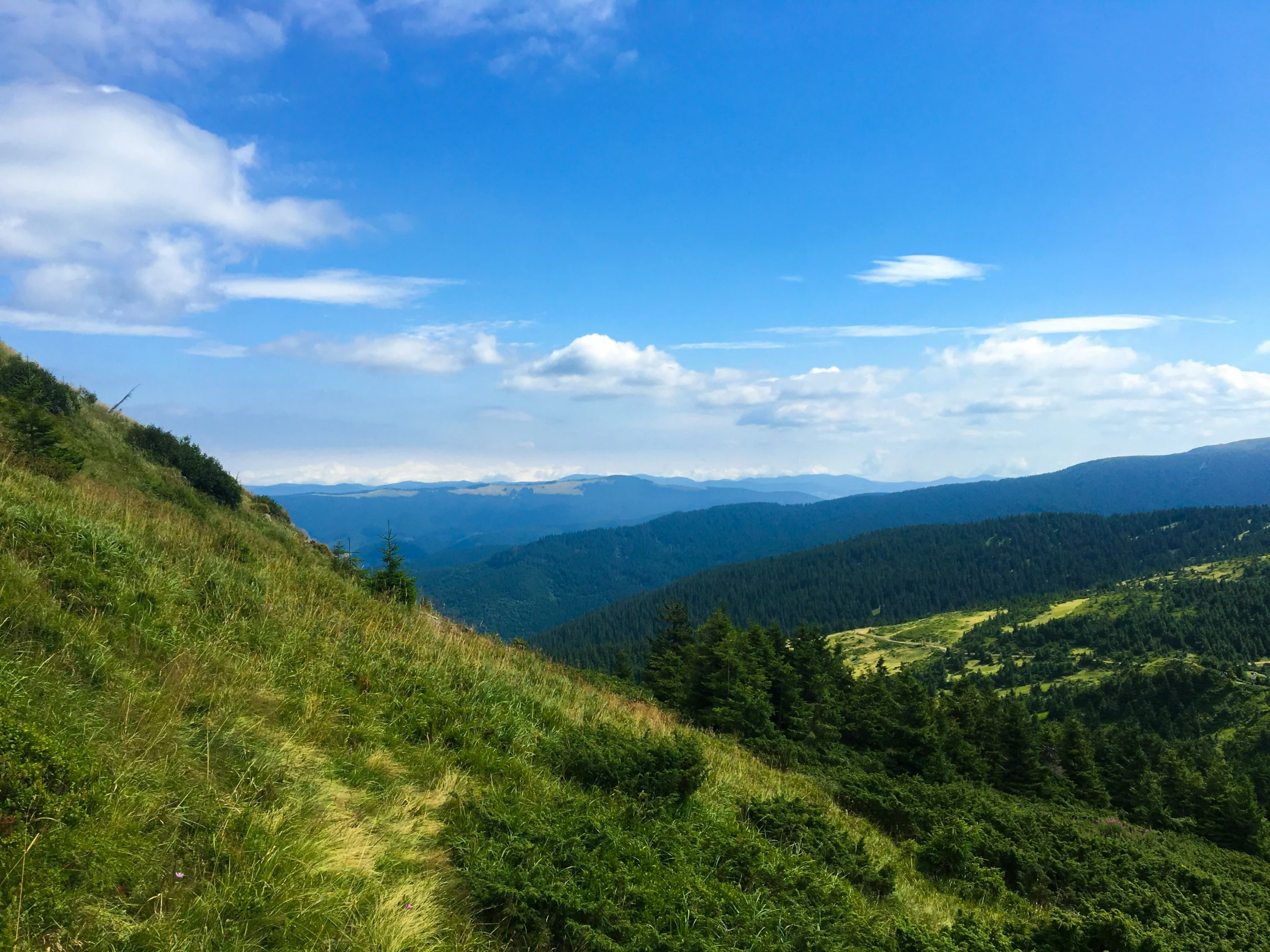 green grassy hill with rolling hills in the background