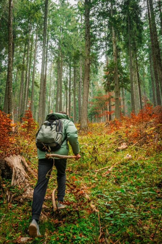 a hiker hiking through an evergreen forest with a backpack