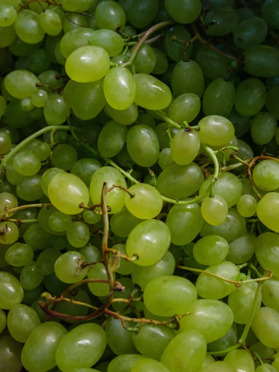 green gs sitting in a pile with green stems