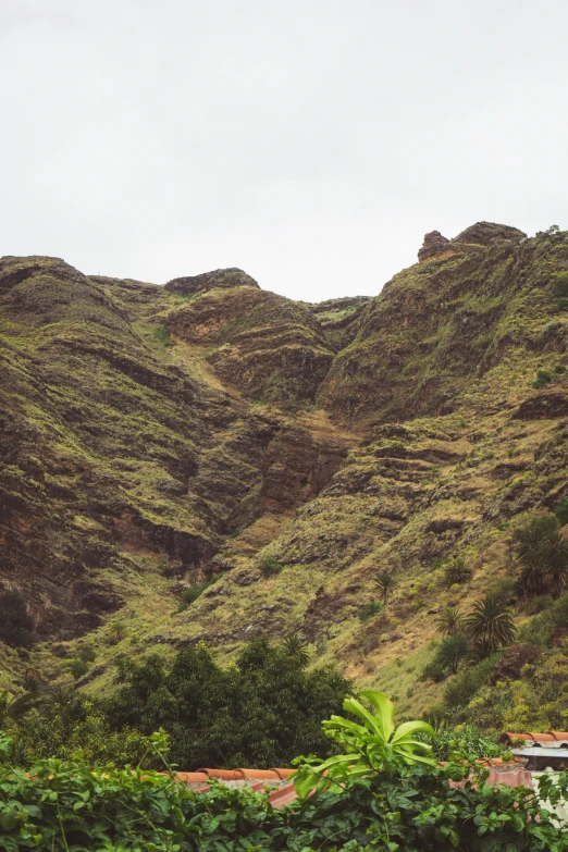 the green hills are in front of houses