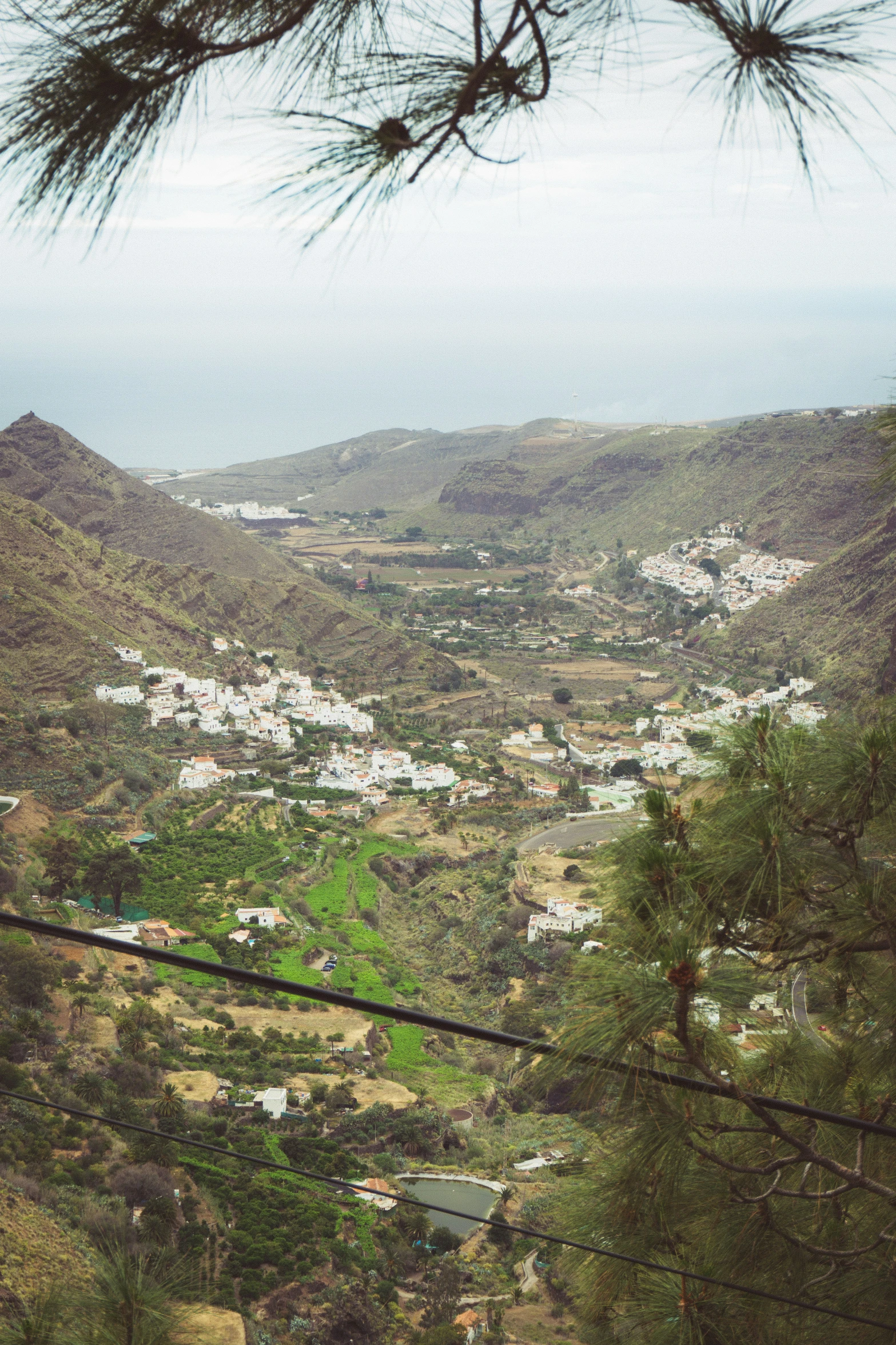 view of city from a high hill with lots of trees