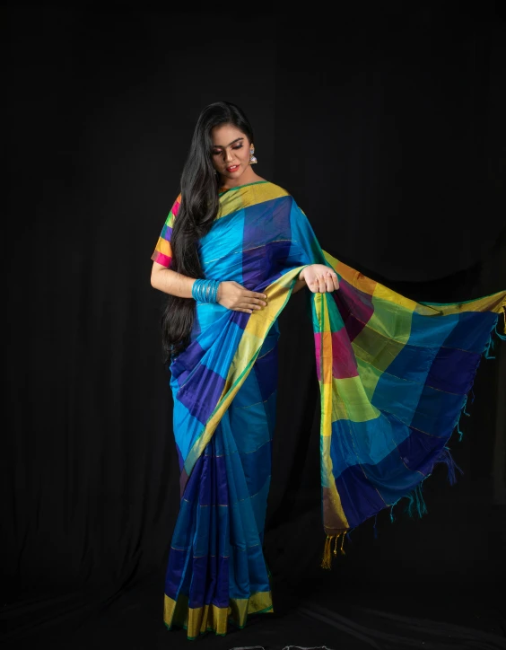 indian woman with long black hair in colorful saree