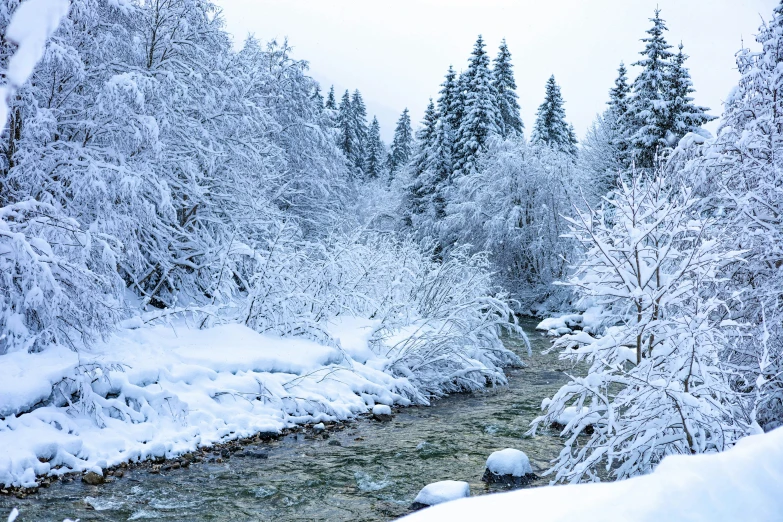 a river surrounded by snow covered trees in a forest