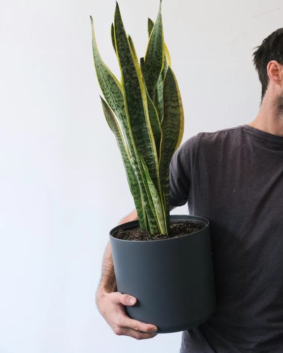 a man holding a potted plant in it's right hand