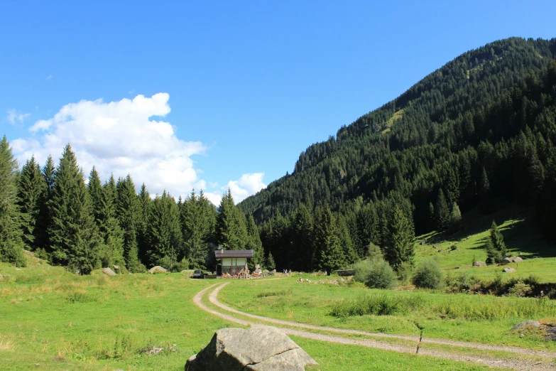 a lush green hillside covered in lush grass and trees