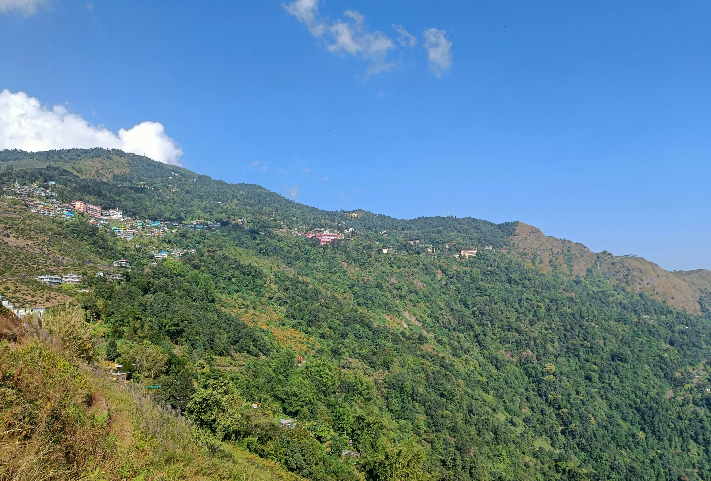 the mountainside is covered in trees and shrubs