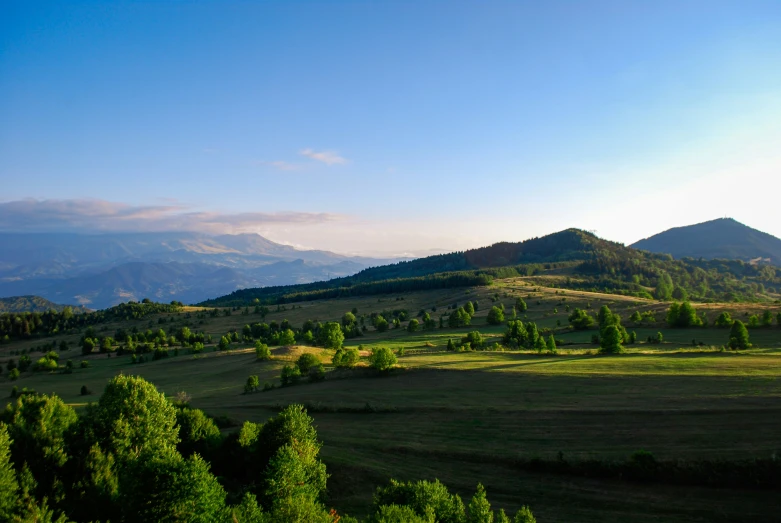 the mountains are dotted with a variety of green trees