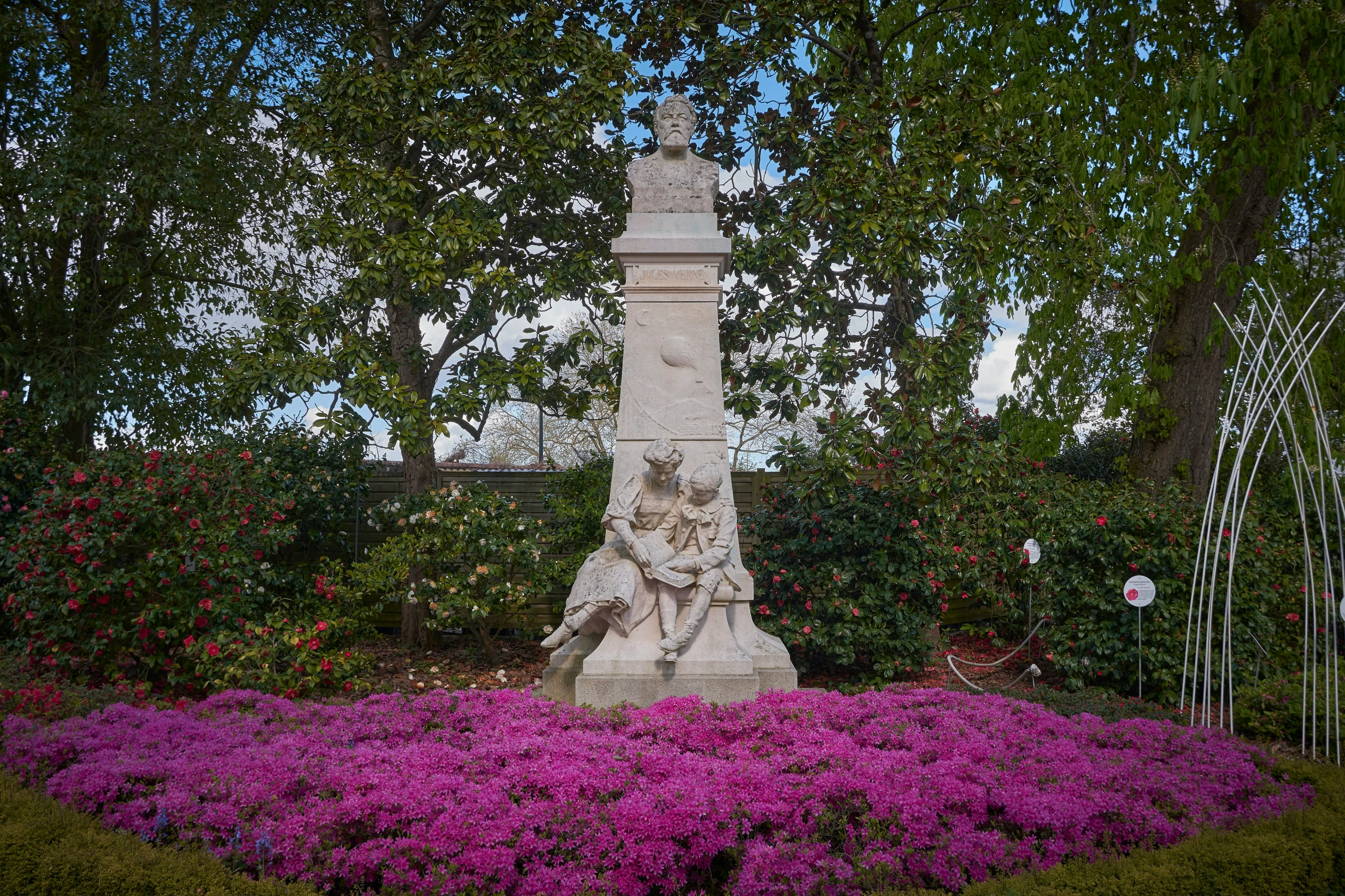 the view is very pretty with purple flowers around