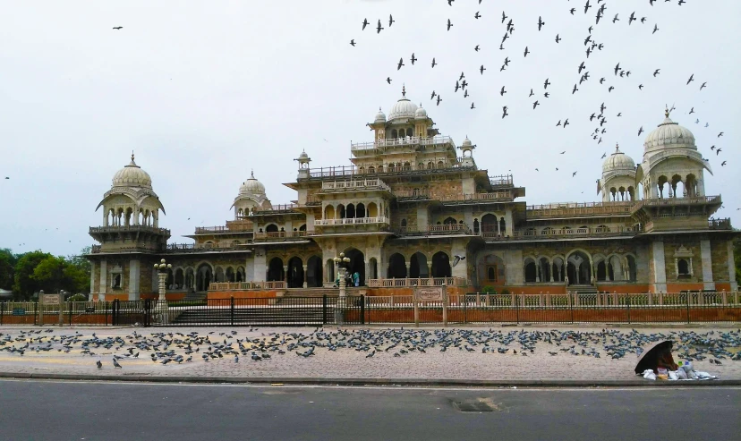 some birds flying over a building in the sky