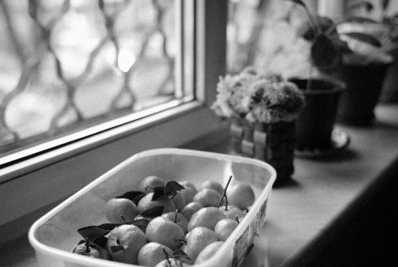 a container full of fruit sitting on a window sill