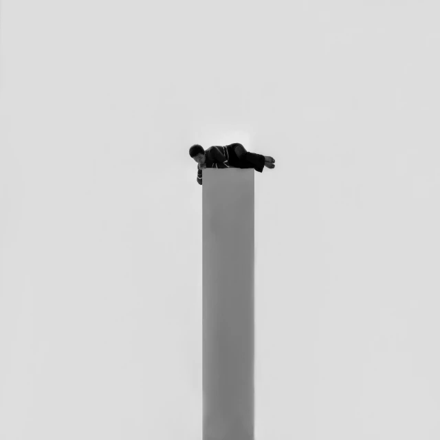 two people on a pole are seen in black and white