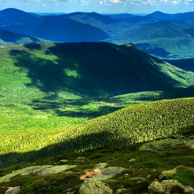 a mountain range that has a tree line on it