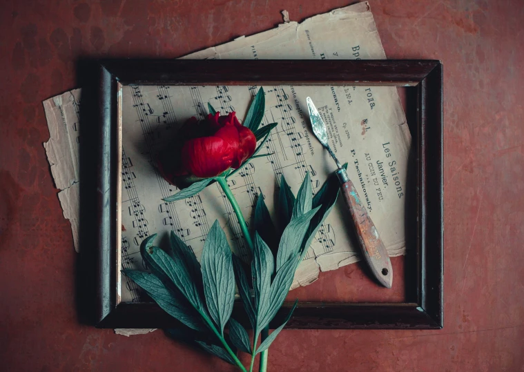 a red rose sitting on top of a sheet of paper next to a knife