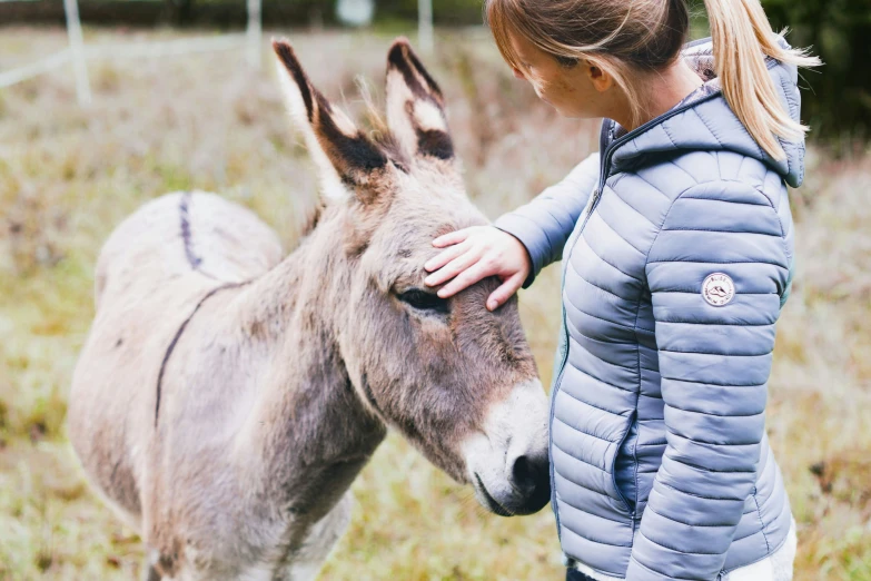 a woman petting the head of a small donkey