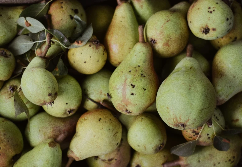 several green pears with a leaf on the side