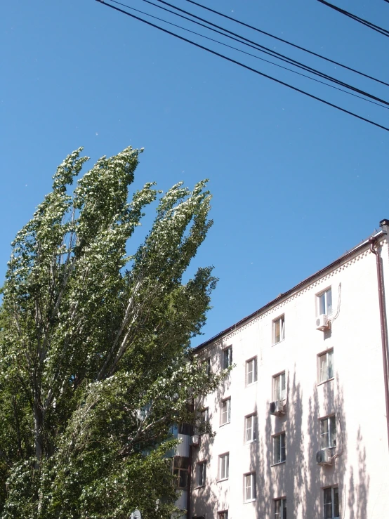 some birds are flying past the top of buildings