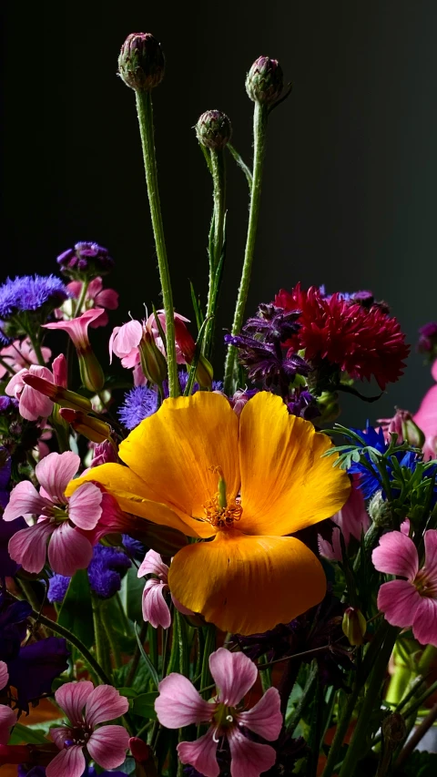 a bouquet of flowers arranged with long stems