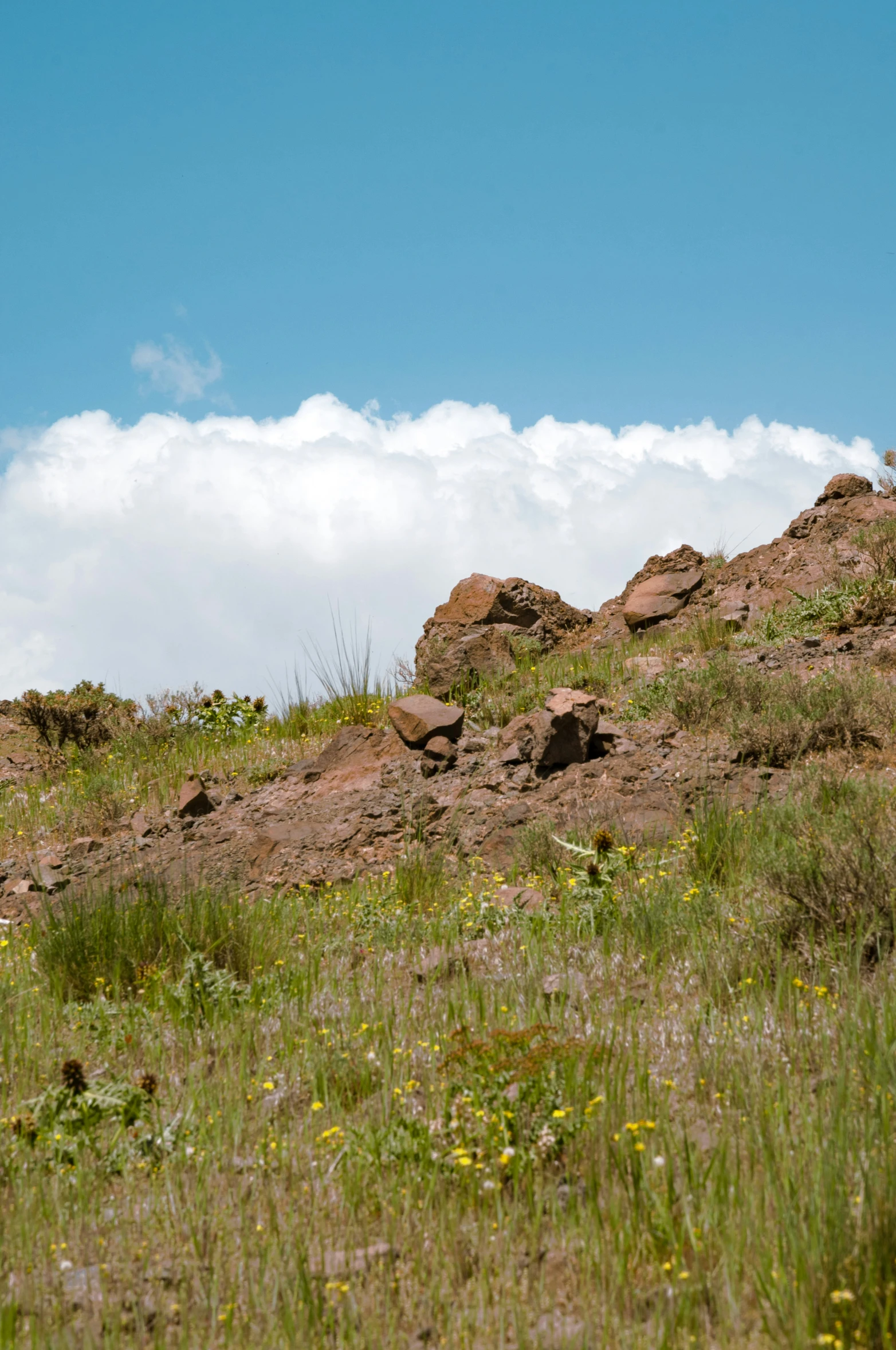 a person holding soing up on a hill with no one visible in the view